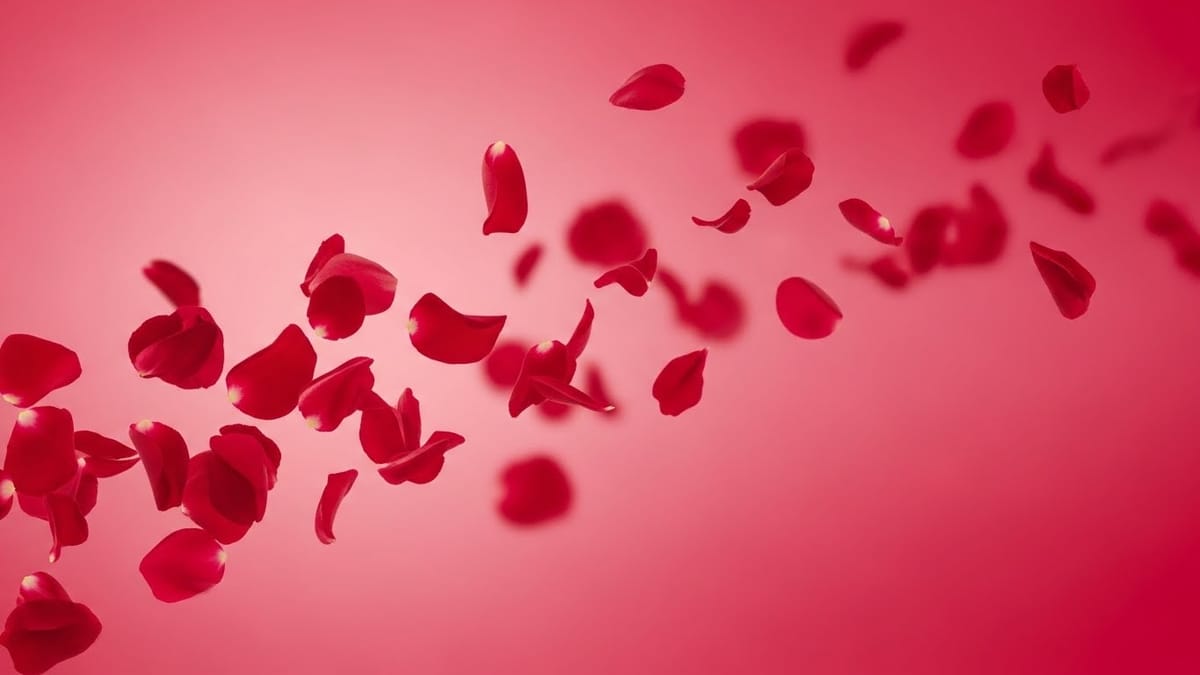 記憶はなぜ美化されるのか